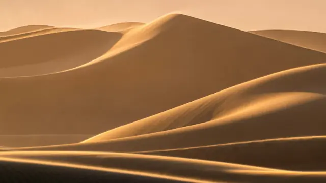 Golden sand dunes with soft ridges in warm light